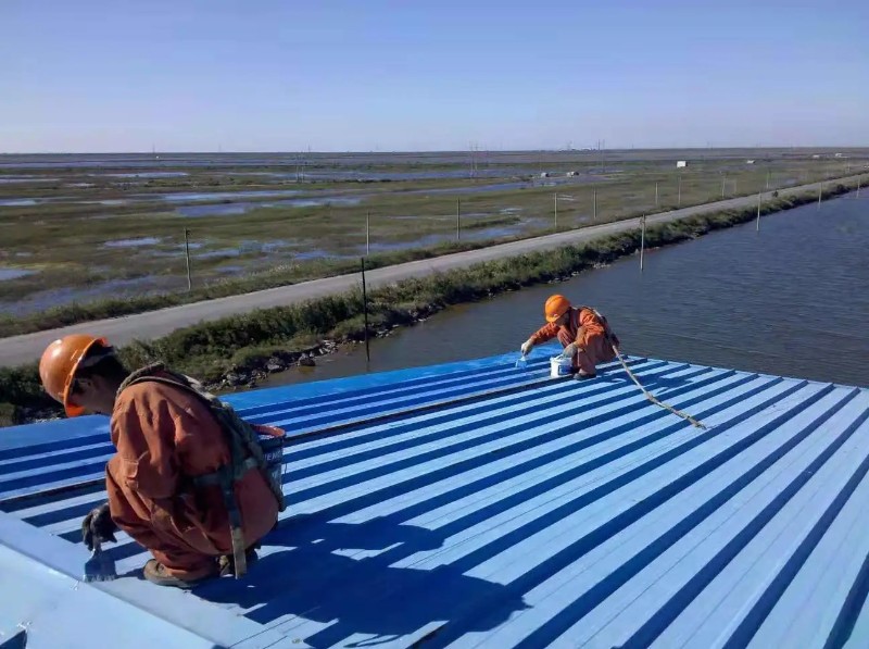 净潭乡彩钢瓦屋面防腐翻新